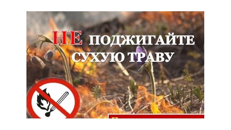 Не сжигайте сухую траву !.